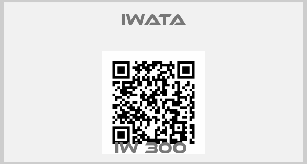 Iwata-IW 300 