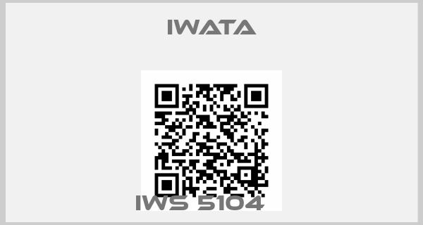Iwata-IWS 5104   