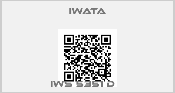 Iwata-IWS 5351 D   