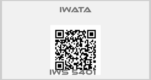 Iwata-IWS 5401  