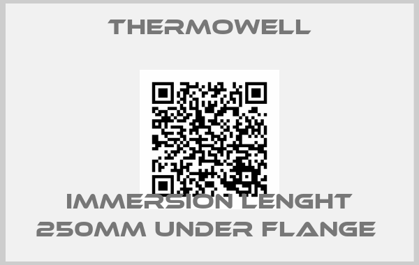 Thermowell-IMMERSION LENGHT 250MM UNDER FLANGE 