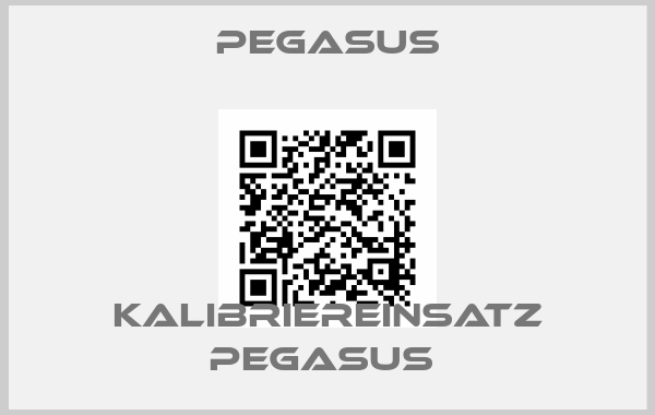 Pegasus-Kalibriereinsatz Pegasus 