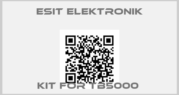 ESIT ELEKTRONIK-KIT FOR TB5000 