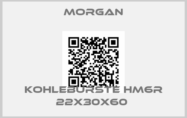 Morgan-KOHLEBURSTE HM6R 22X30X60 