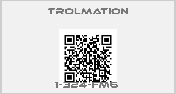 Trolmation-1-324-FM6 