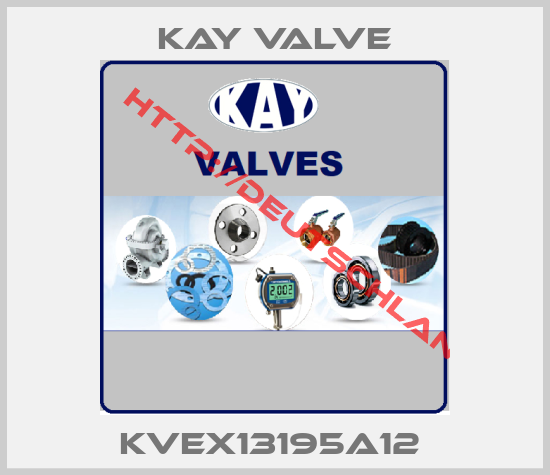 Kay Valve-KVEX13195A12 