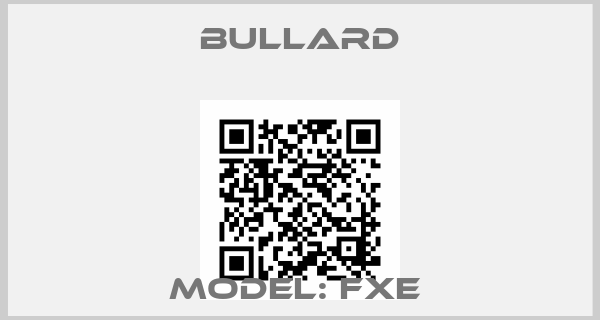 Bullard-Model: FXE 