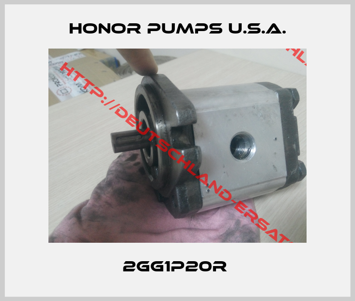 HONOR PUMPS U.S.A.-2GG1P20R 