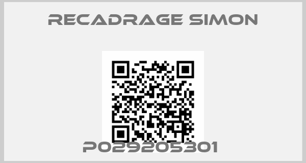 RECADRAGE SIMON-P029205301 