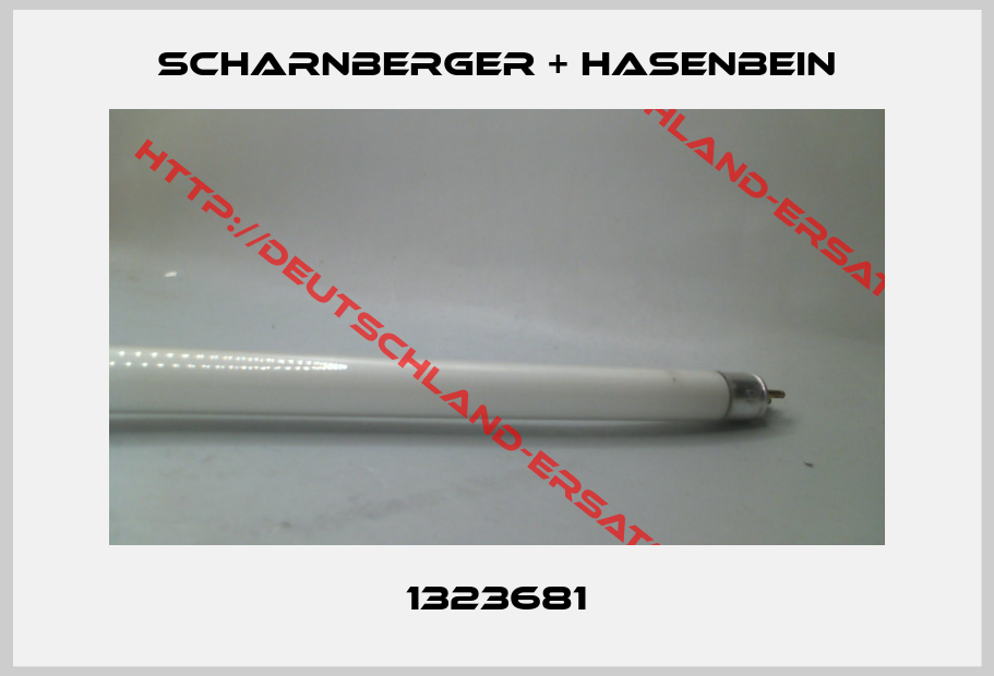 Scharnberger + Hasenbein-1323681