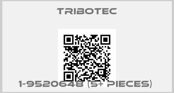 Tribotec-1-9520648 (5+ pieces) 