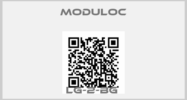 Moduloc-LG-2-BG 
