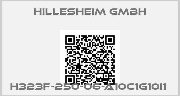 Hillesheim GmbH-H323F-250-06-A10C1G10I1 