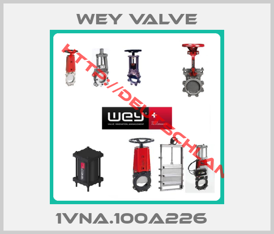 Wey Valve-1VNA.100A226  