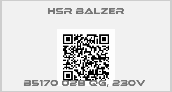 HSR BALZER-B5170 028 QG, 230V 