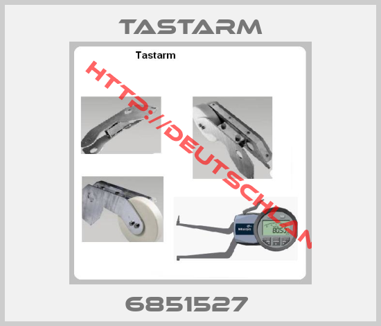 Tastarm-6851527 