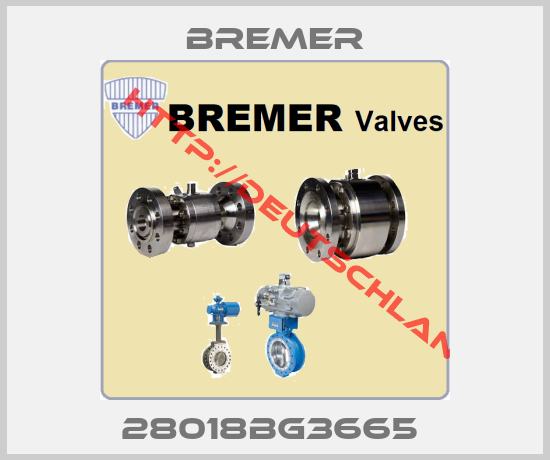 BREMER-28018BG3665 