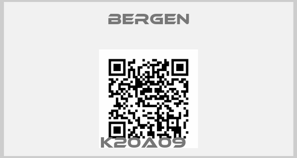 Bergen-K20A09  