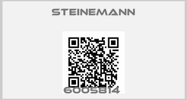 Steinemann-6005814 