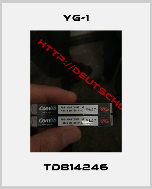 YG-1-TD814246