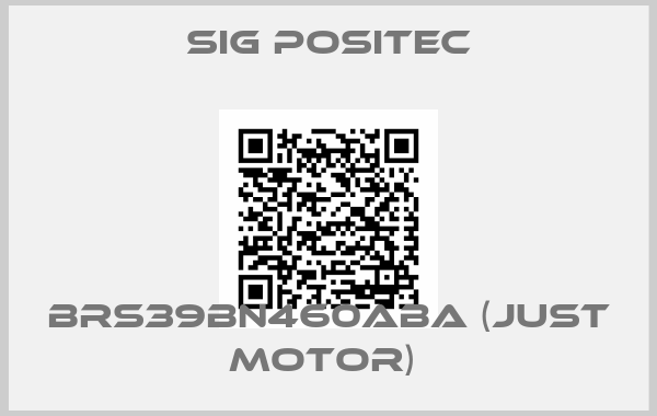 SIG Positec-BRS39BN460ABA (just motor) 