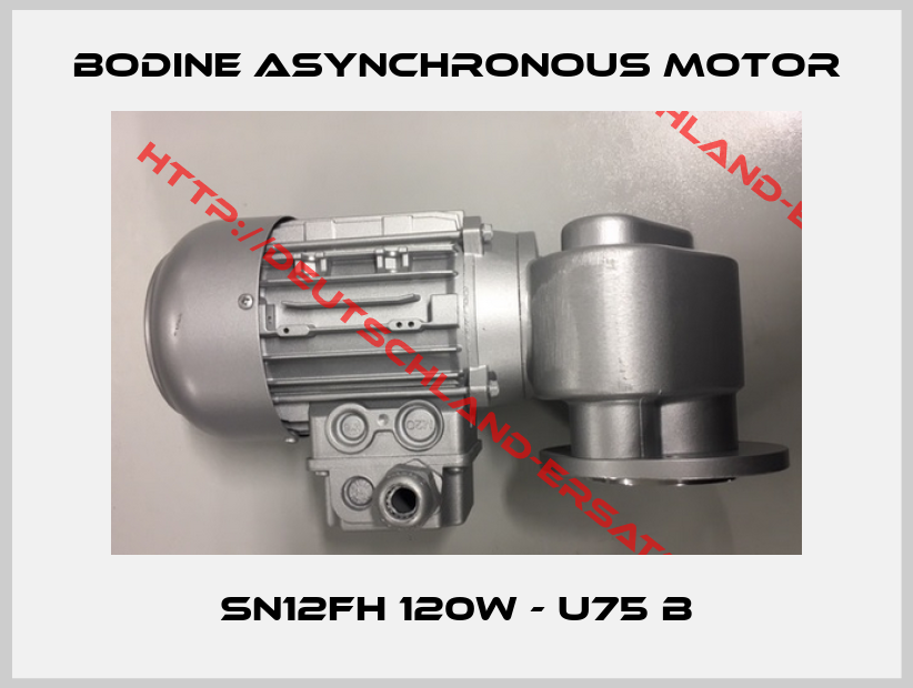 BODINE Asynchronous motor-SN12FH 120W - U75 B