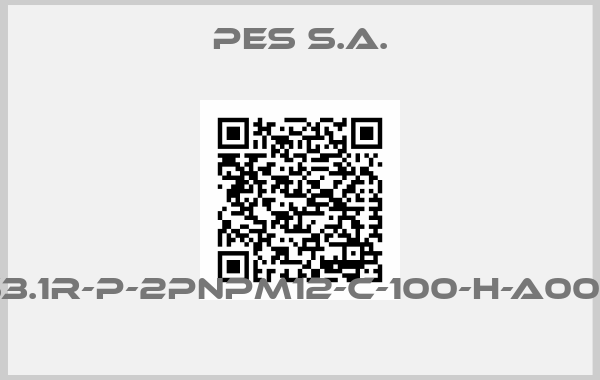 PES S.A.-S3.1R-P-2PNPM12-C-100-H-A000 