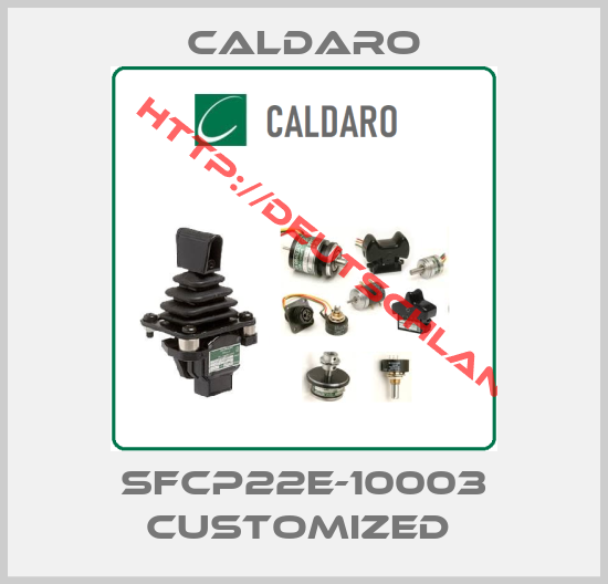 Caldaro-SFCP22E-10003 customized 
