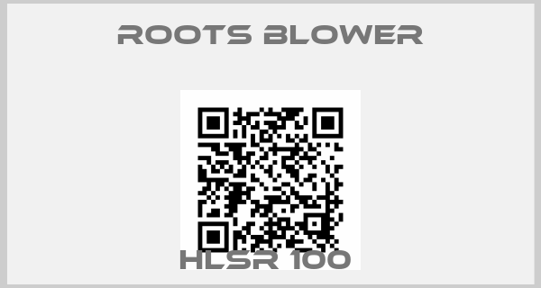 ROOTS BLOWER-HLSR 100 
