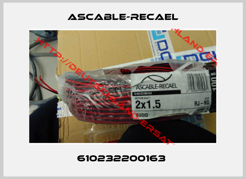 Ascable-Recael-610232200163 