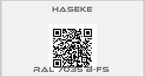 Haseke-RAL 7035 B-FS 