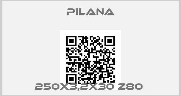 Pilana-250X3,2X30 Z80 
