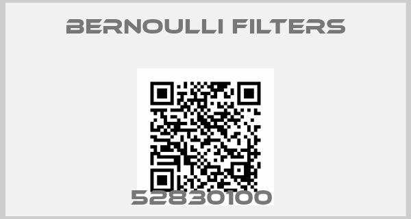 Bernoulli Filters-52830100 