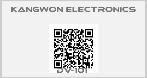 Kangwon Electronics-DV-101 