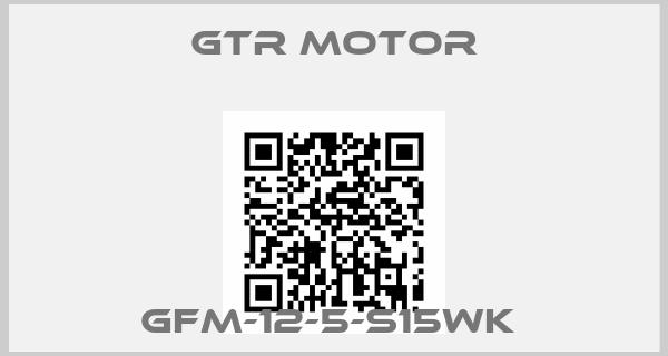 GTR MOTOR-GFM-12-5-S15WK 