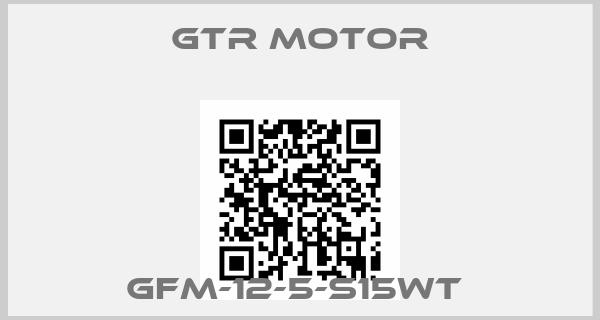 GTR MOTOR-GFM-12-5-S15WT 