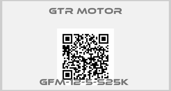 GTR MOTOR-GFM-12-5-S25K 