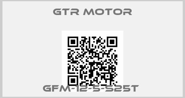 GTR MOTOR-GFM-12-5-S25T 