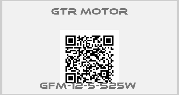 GTR MOTOR-GFM-12-5-S25W 