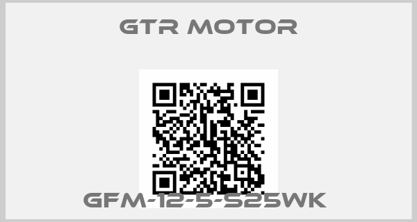 GTR MOTOR-GFM-12-5-S25WK 