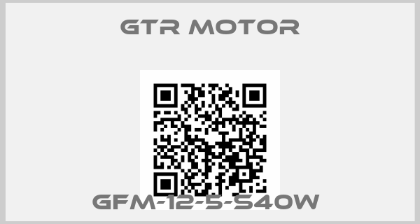 GTR MOTOR-GFM-12-5-S40W 