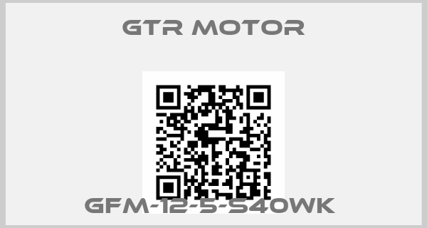 GTR MOTOR-GFM-12-5-S40WK 
