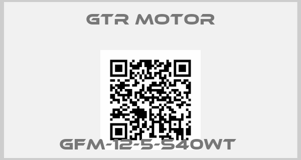 GTR MOTOR-GFM-12-5-S40WT 