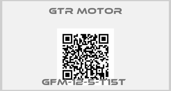 GTR MOTOR-GFM-12-5-T15T 