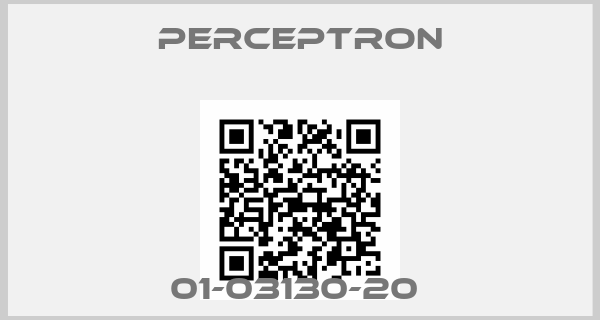 Perceptron-01-03130-20 
