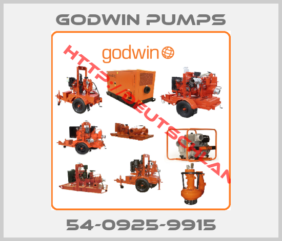 Godwin Pumps-54-0925-9915