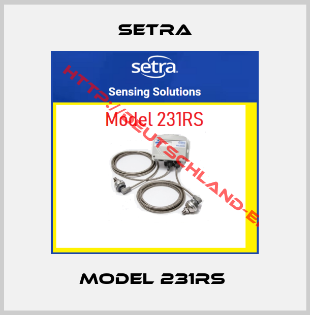 Setra-Model 231RS 
