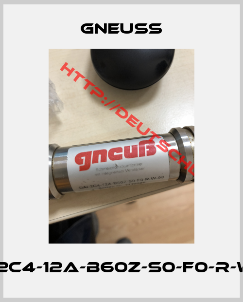 Gneuss-DAI-2C4-12A-B60Z-S0-F0-R-W-98