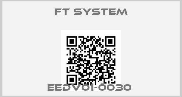 FT SYSTEM-EEDV01-0030 