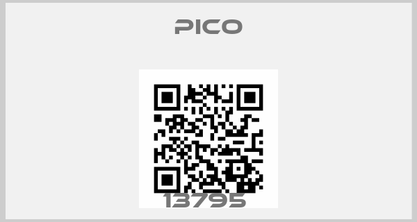 Pico-13795 